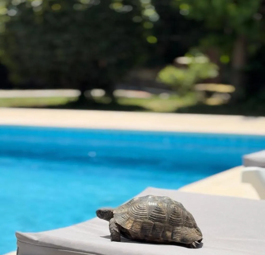 Villa Xanthos 301 Ölüdeniz Turquía